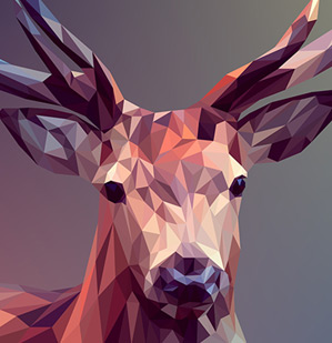 Profile Photo Design